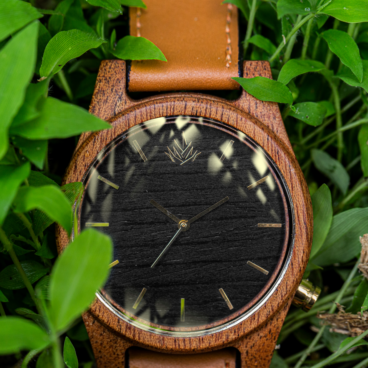 Línea Agavia | 44mm | Caoba | Carátula Ébano