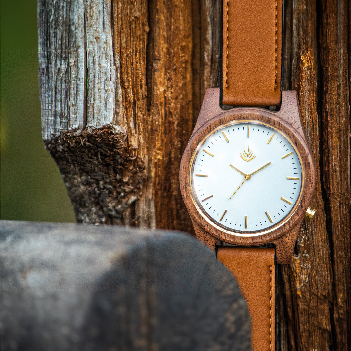 Línea Agavia | 44mm | Nogal | Carátula Blanca