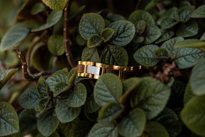 Brazalete H | Para él | Eslabones | Nogal