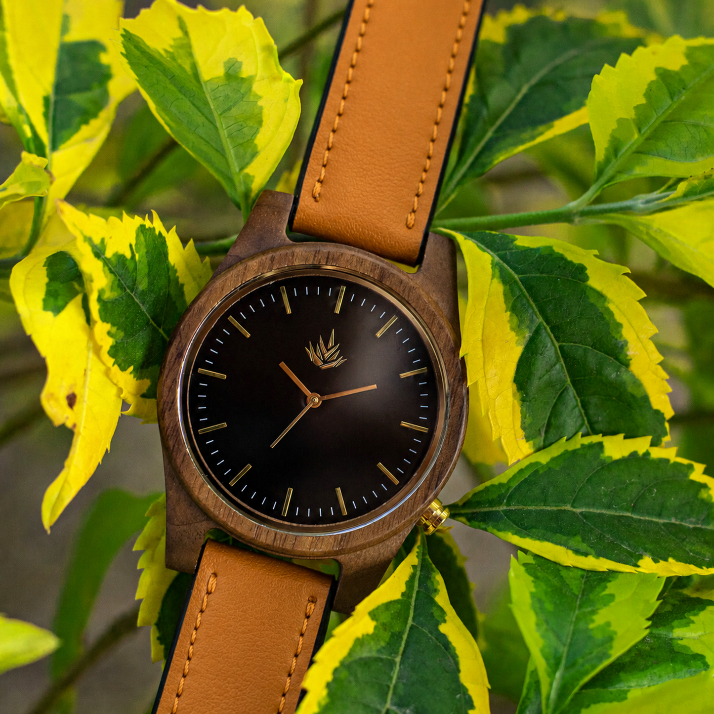 Línea Agavia | 44mm | Nogal | Carátula Negra