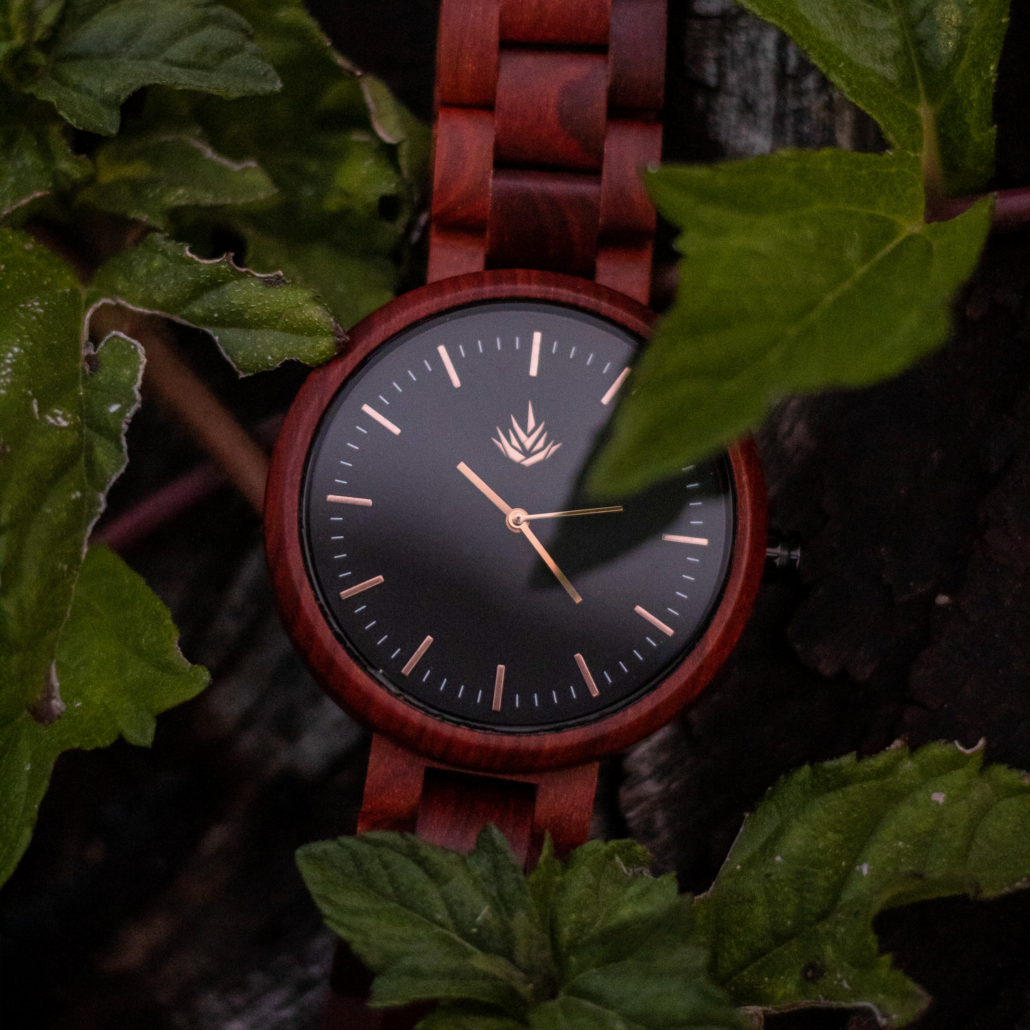 Línea Edición Especial | 44mm | Sándalo rojo | Oro Rosa | Carátula Negra