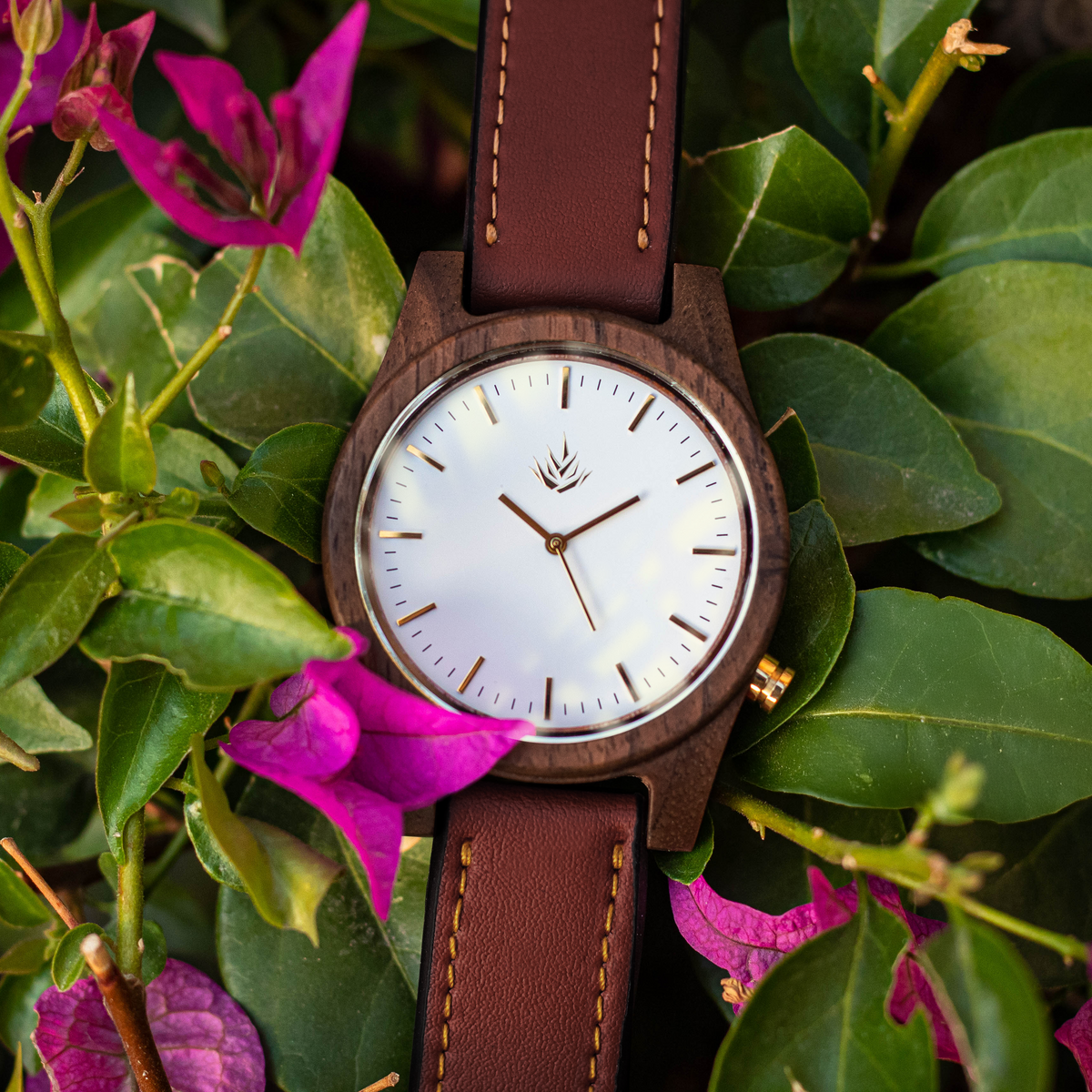 Línea Agavia | 44mm | Nogal | Carátula Blanca