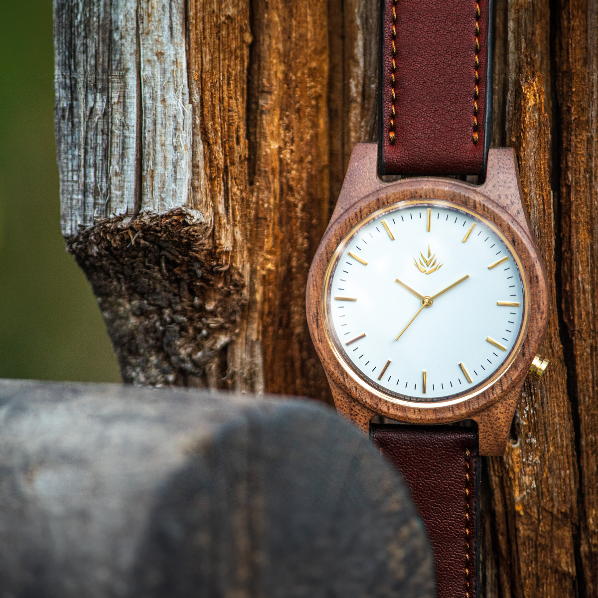 Línea Agavia | 44mm | Nogal | Carátula Blanca