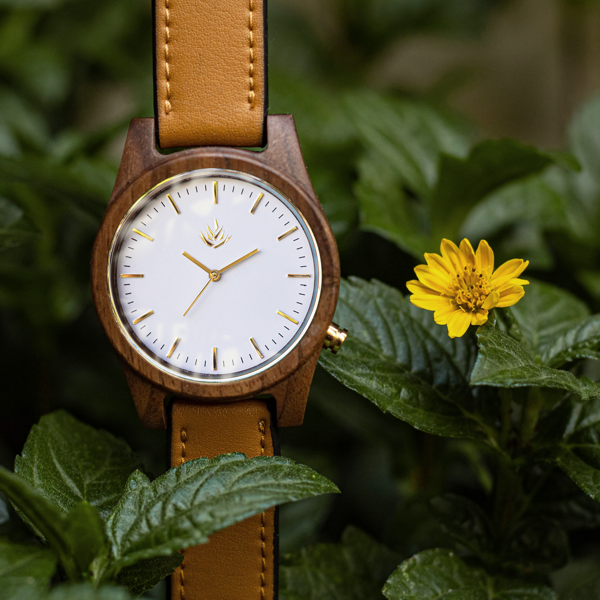 Línea Agavia | 44mm | Nogal | Carátula Blanca