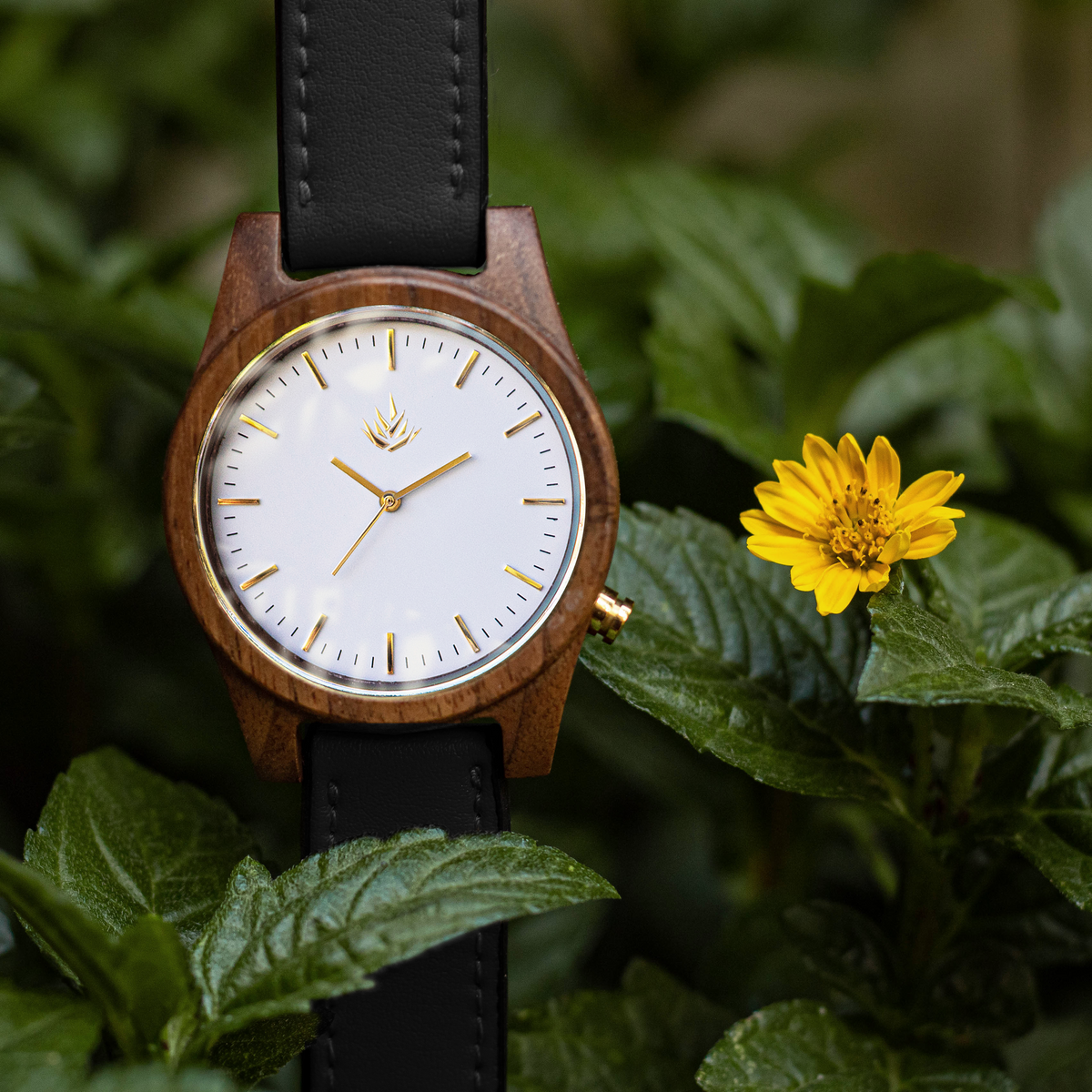 Línea Agavia | 44mm | Nogal | Carátula Blanca