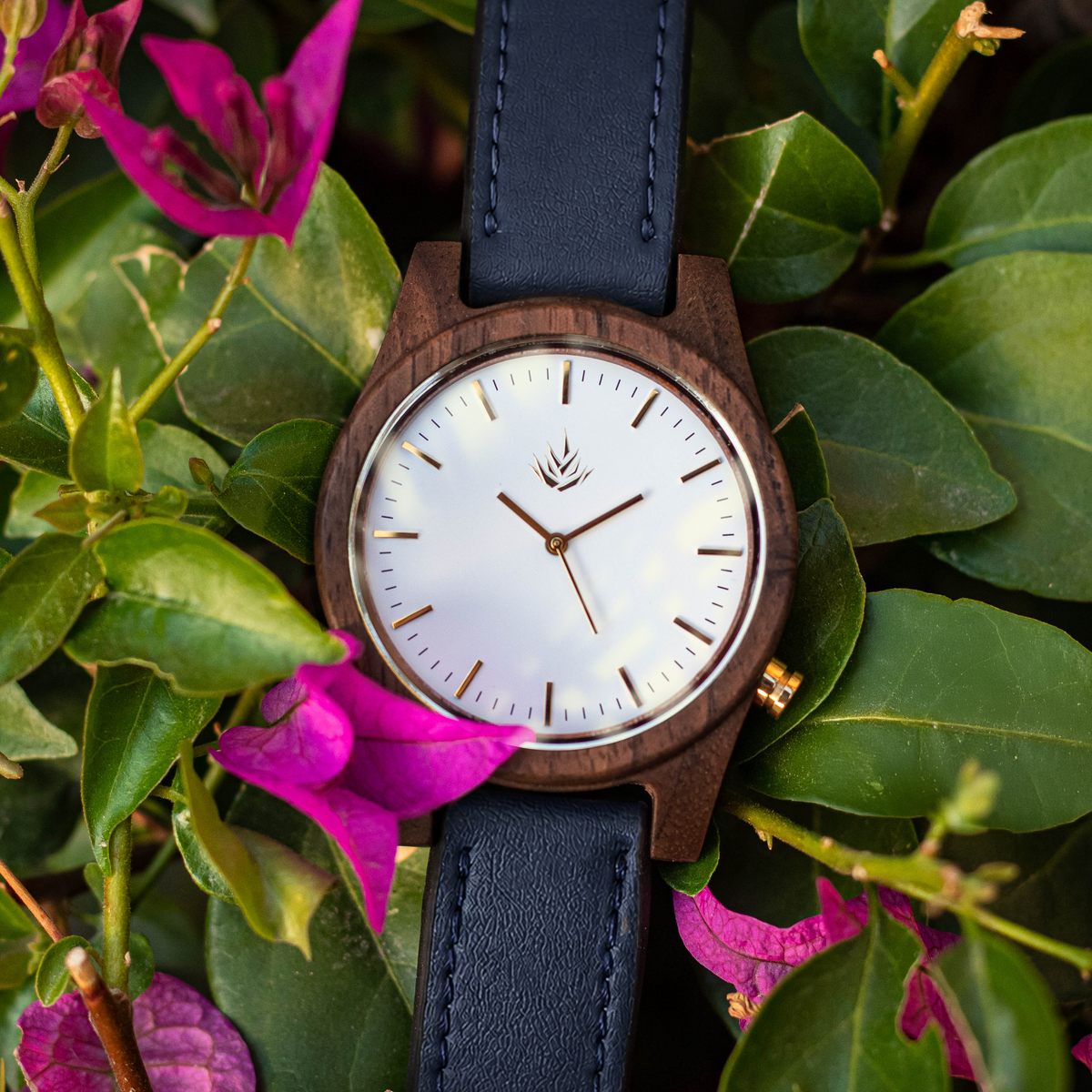 Línea Agavia | 44mm | Nogal | Carátula Blanca