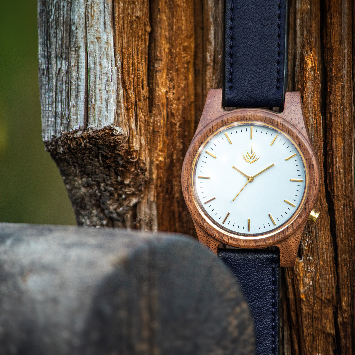 Línea Agavia | 44mm | Nogal | Carátula Blanca