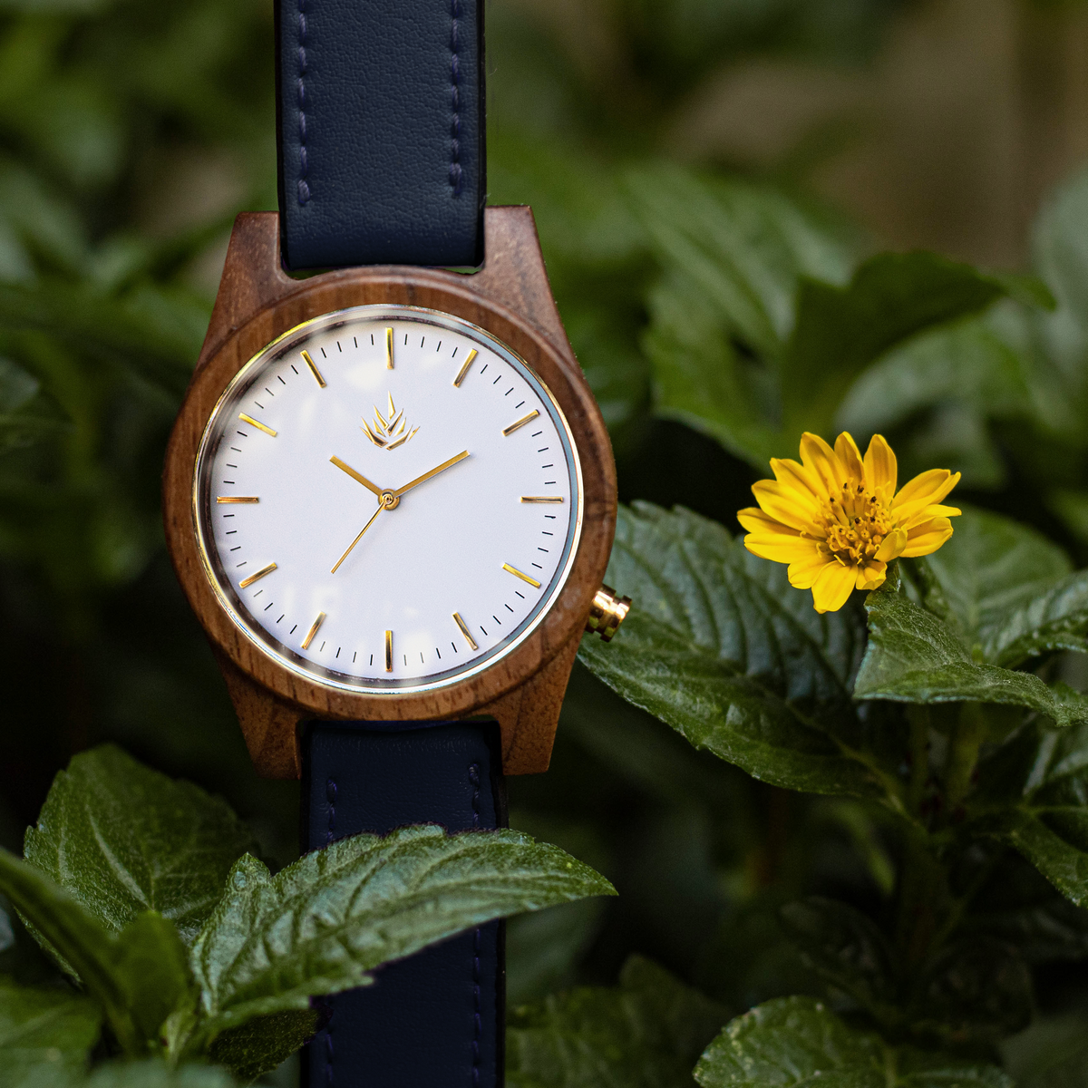Línea Agavia | 44mm | Nogal | Carátula Blanca
