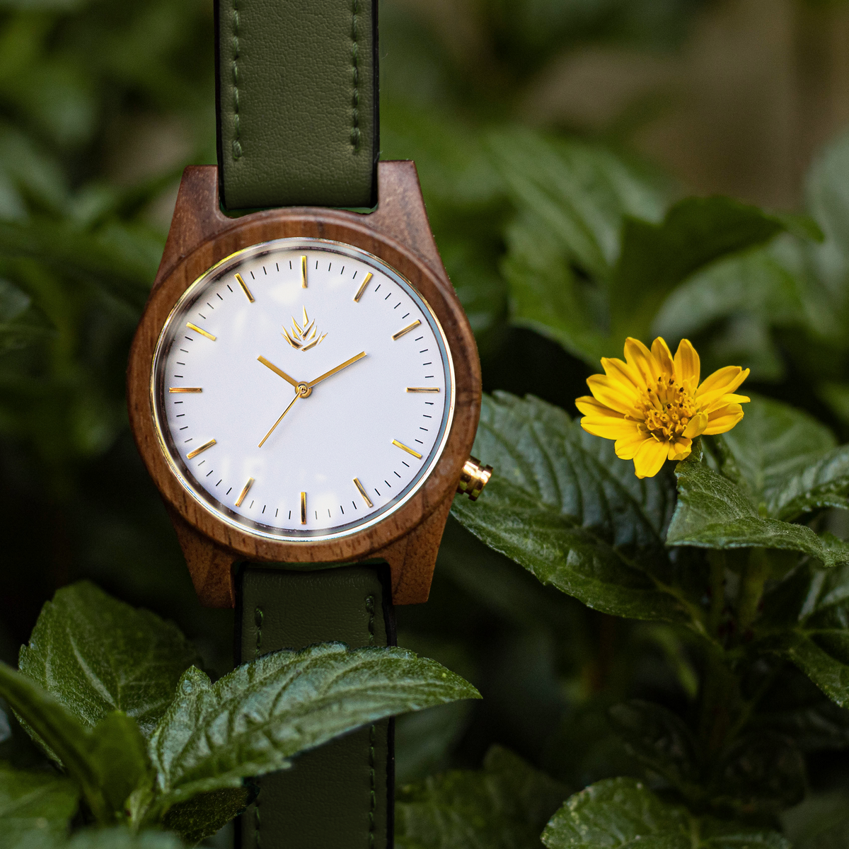 Línea Agavia | 44mm | Nogal | Carátula Blanca