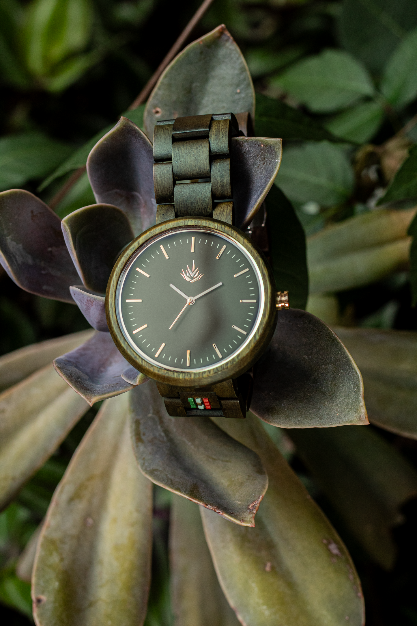 Línea Edición Limitada | 100 Piezas | 44mm | Sándalo Verde
