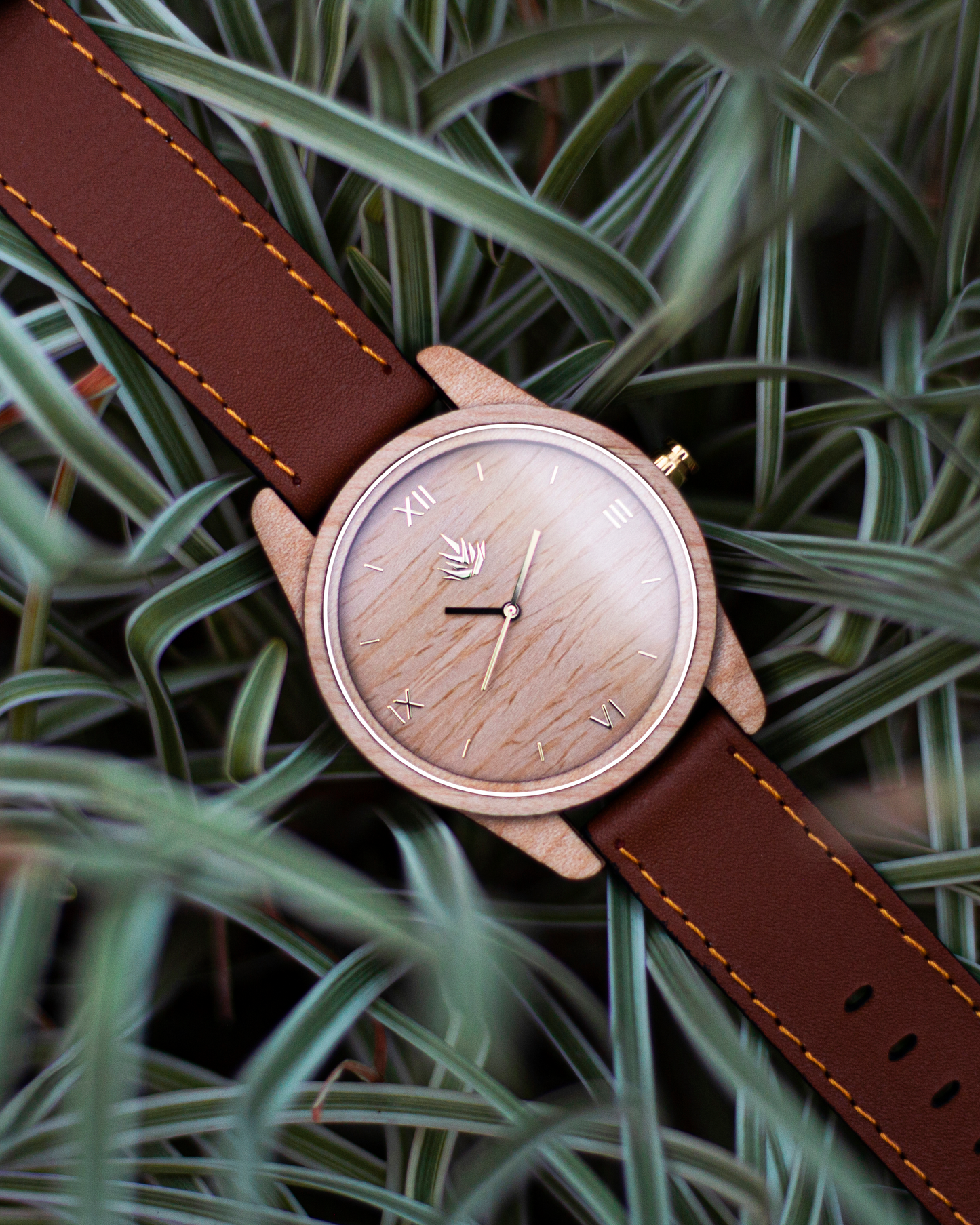 Línea Clásica | 44mm | Maple