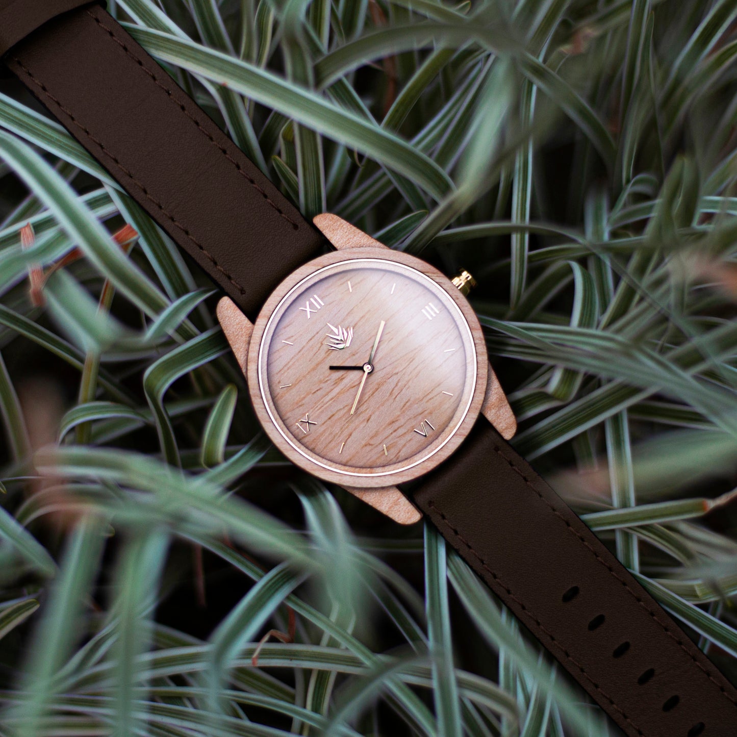 Línea Clásica | 44mm | Maple