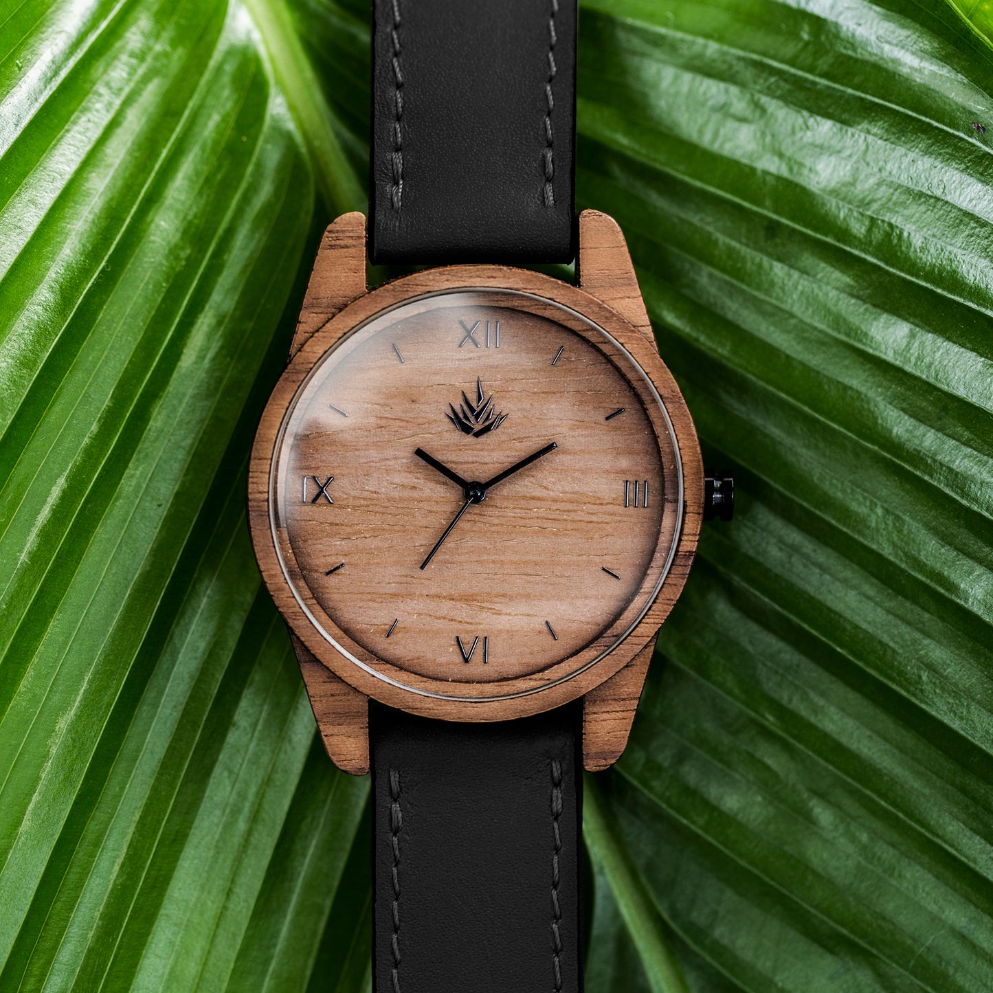 Línea Clásica | 44mm | Nogal