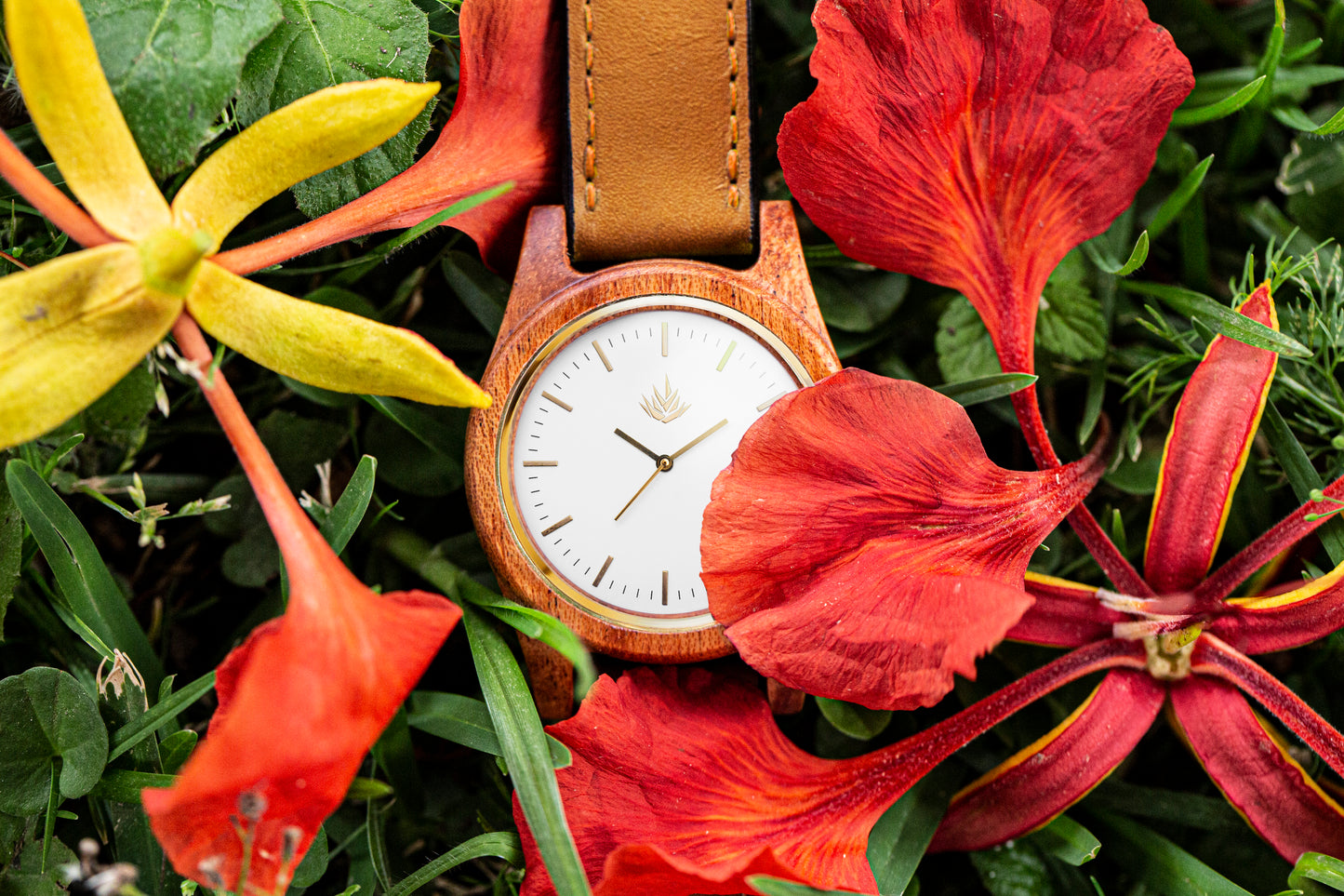 Pareja de Agavus | Línea Agavia | 37mm y 44mm | Caoba | Carátula Blanca y Sapelli