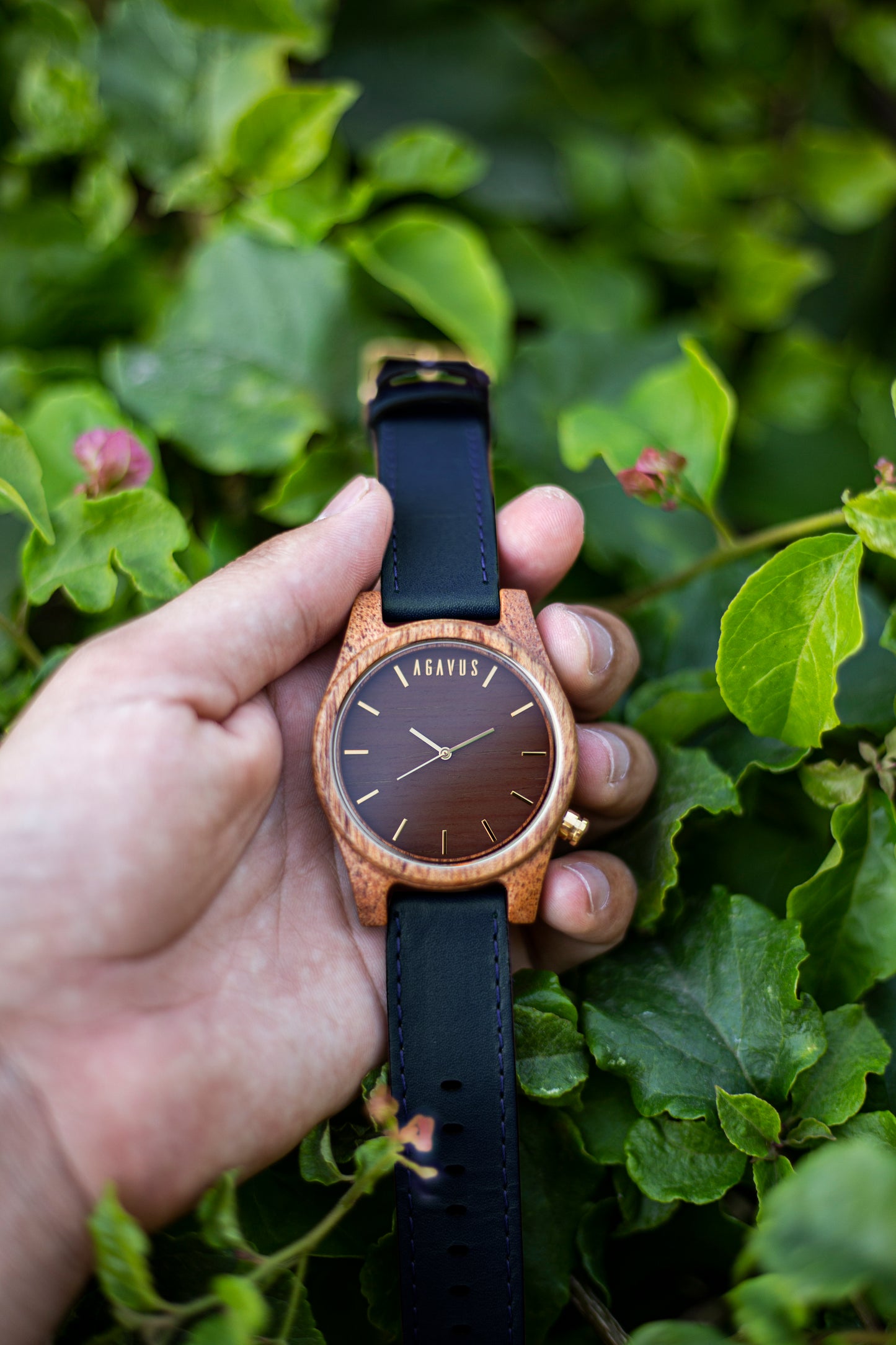 Pareja de Agavus | Línea Agavia | 37mm y 44mm | Caoba | Carátula Blanca y Sapelli