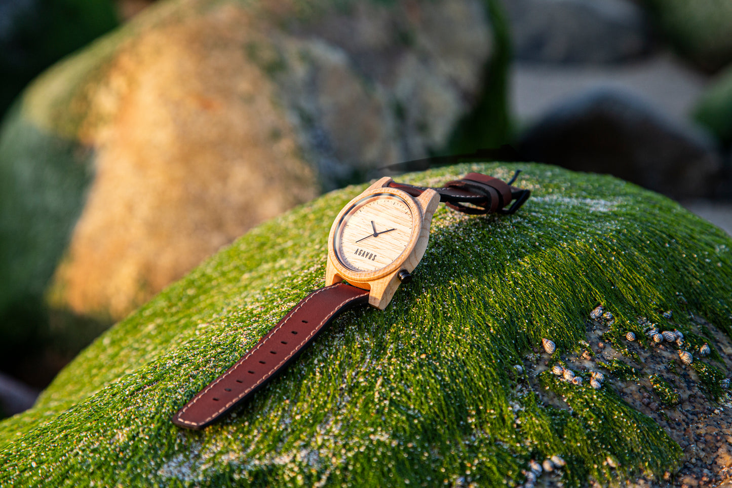 Pareja de Agavus | Línea Agavia | 37mm y 44mm | Maple