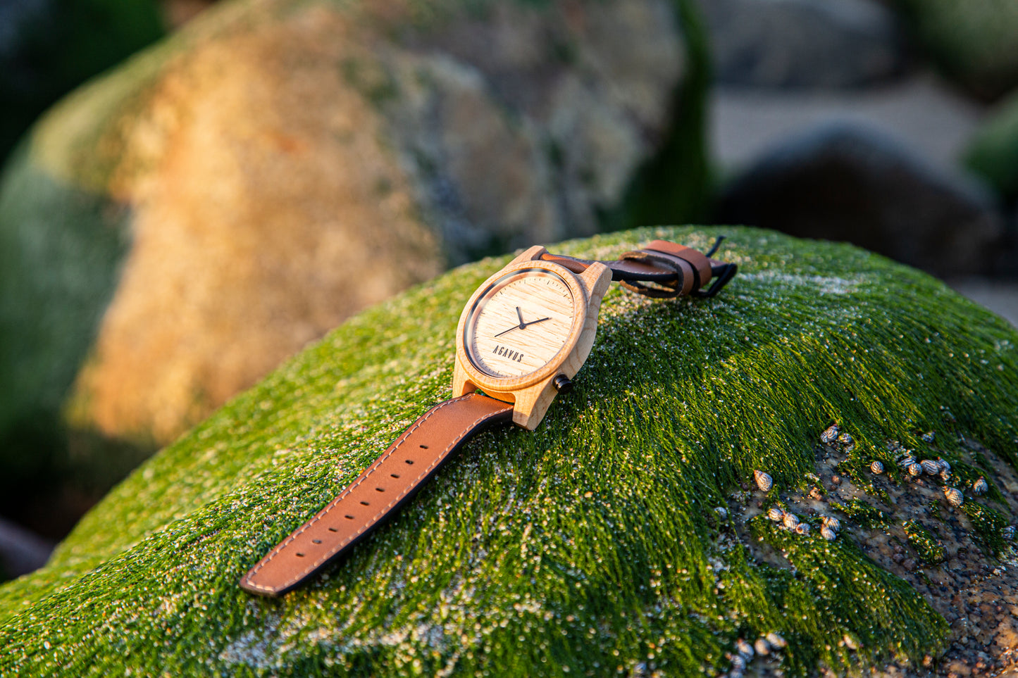 Pareja de Agavus | Línea Agavia | 37mm y 44mm | Maple